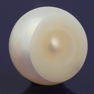 Průřez sladkovodní perlou